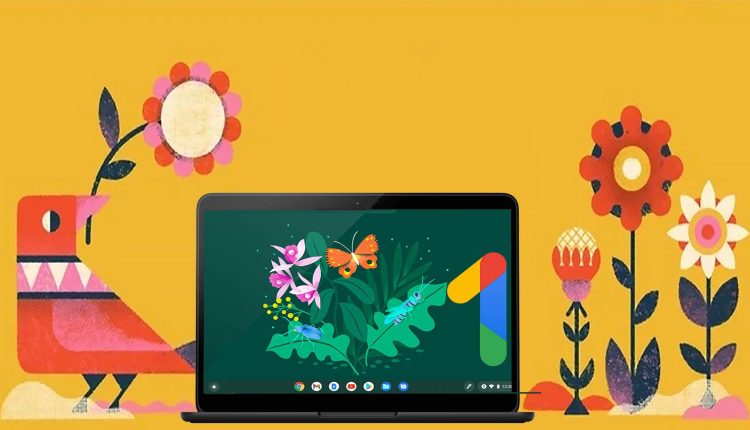 An illustration of red bird, Chromebook, and various flowers against a saffron background