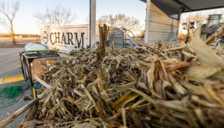 Τι είναι το βιοέλαιο και γιατί η Big Tech πιστεύει ότι μπορεί να καταπολεμήσει την κλιματική αλλαγή;
