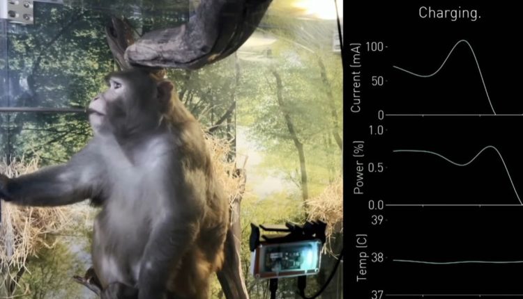 Το Neuralink του Έλον Μασκ αναφέρει την έγκριση από τον FDA για μια κλινική μελέτη σε ανθρώπους
