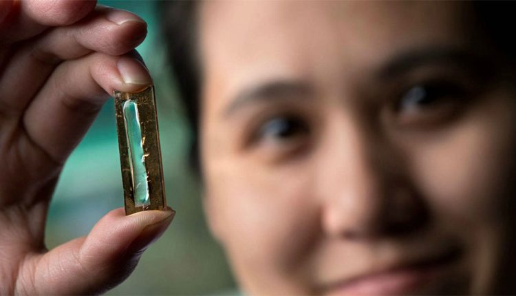 Φοιτήτρια έφτιαξε κατά λάθος μια επαναφορτιζόμενη μπαταρία που διαρκεί 400 χρόνια.