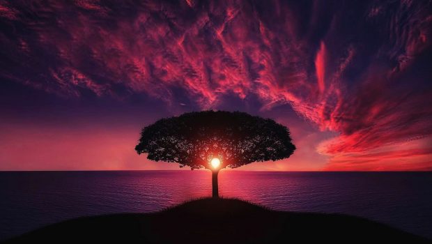 Ωκεανοί-«θερμοσίφωνες» της κλιματικής αλλαγής; | in.gr