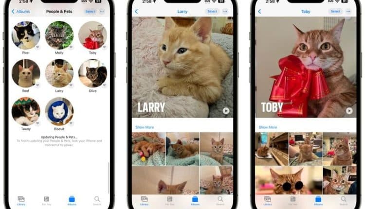 Η εφαρμογή Φωτογραφίες στην iOS 17 αναγνωρίζει τα κατοικίδια σας #WWDC23