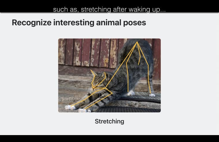 Apple Animal Pose API