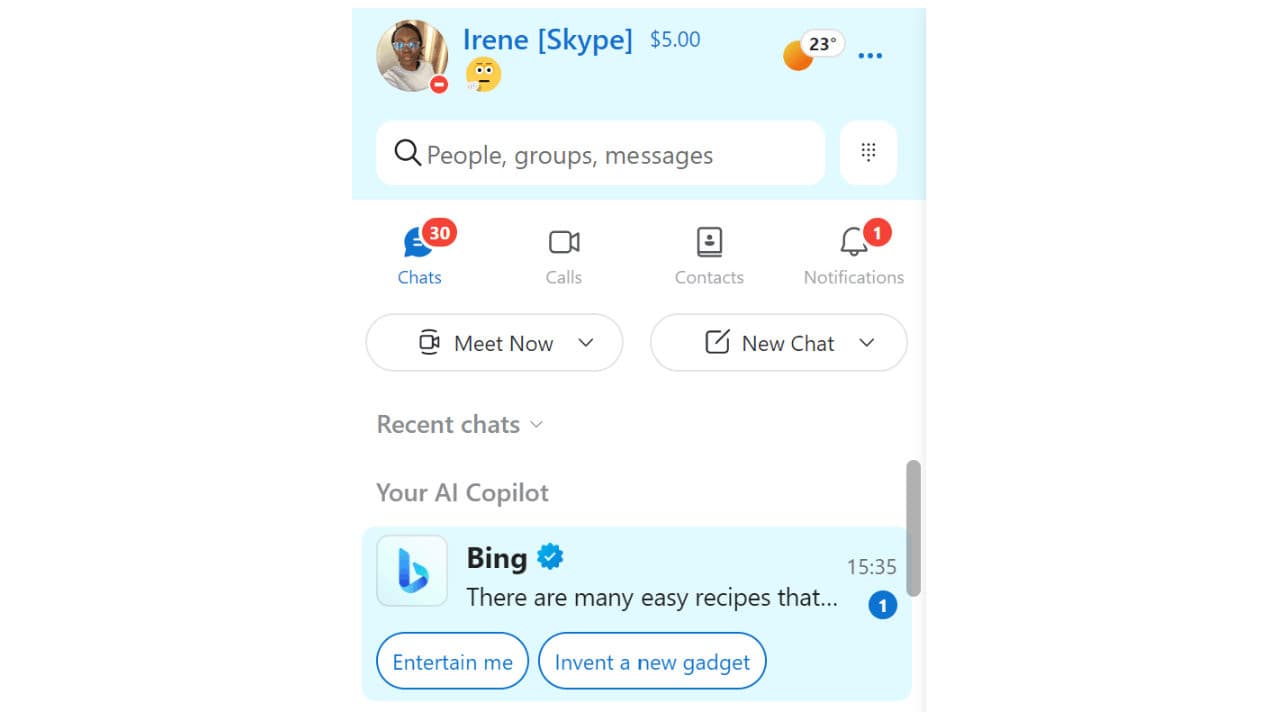 Ένα στιγμιότυπο οθόνης της προεπισκόπησης Skype 899