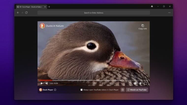duckduckgo web browser