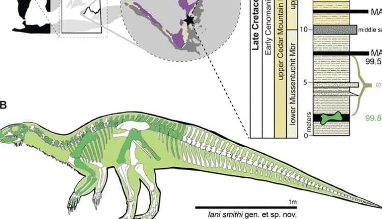 Επιστήμη: Νέο είδος δεινόσαυρου στη Γιούτα ρίχνει φως σε μία περίοδο μεγάλων περιβαλλοντικών αλλαγών