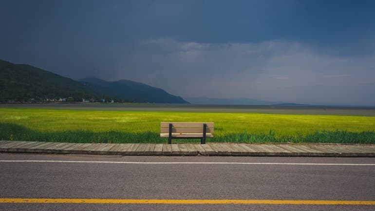 Πώς θα ήταν η Γη έναν χρόνο μετά την εξαφάνιση των ανθρώπων;