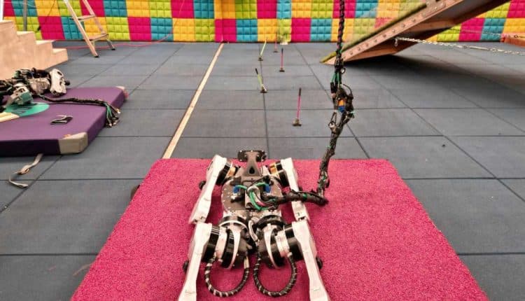 Meet me at the dog run