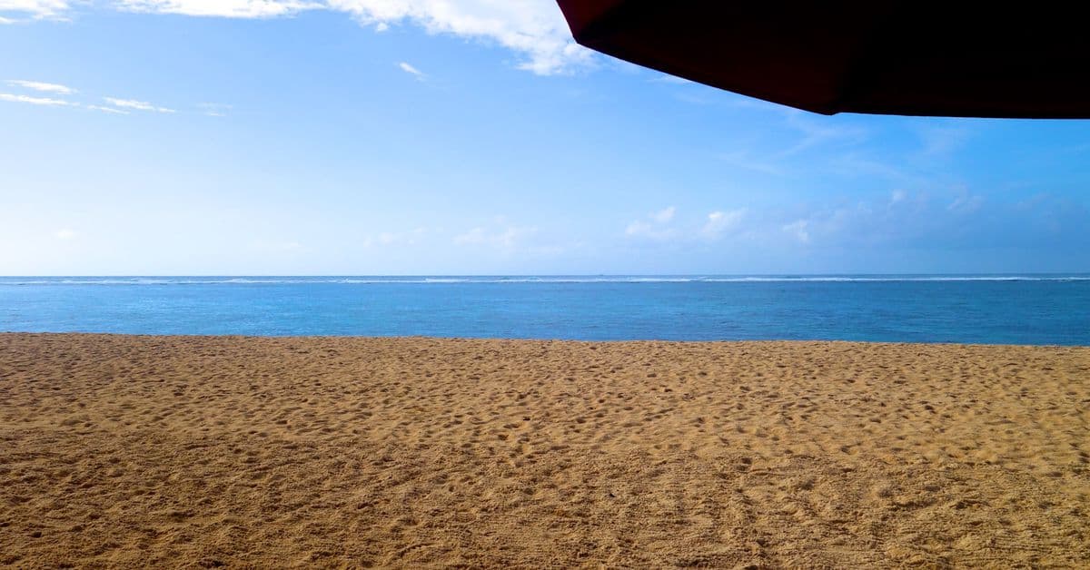 The Verge’s favorite summer gear for 2023