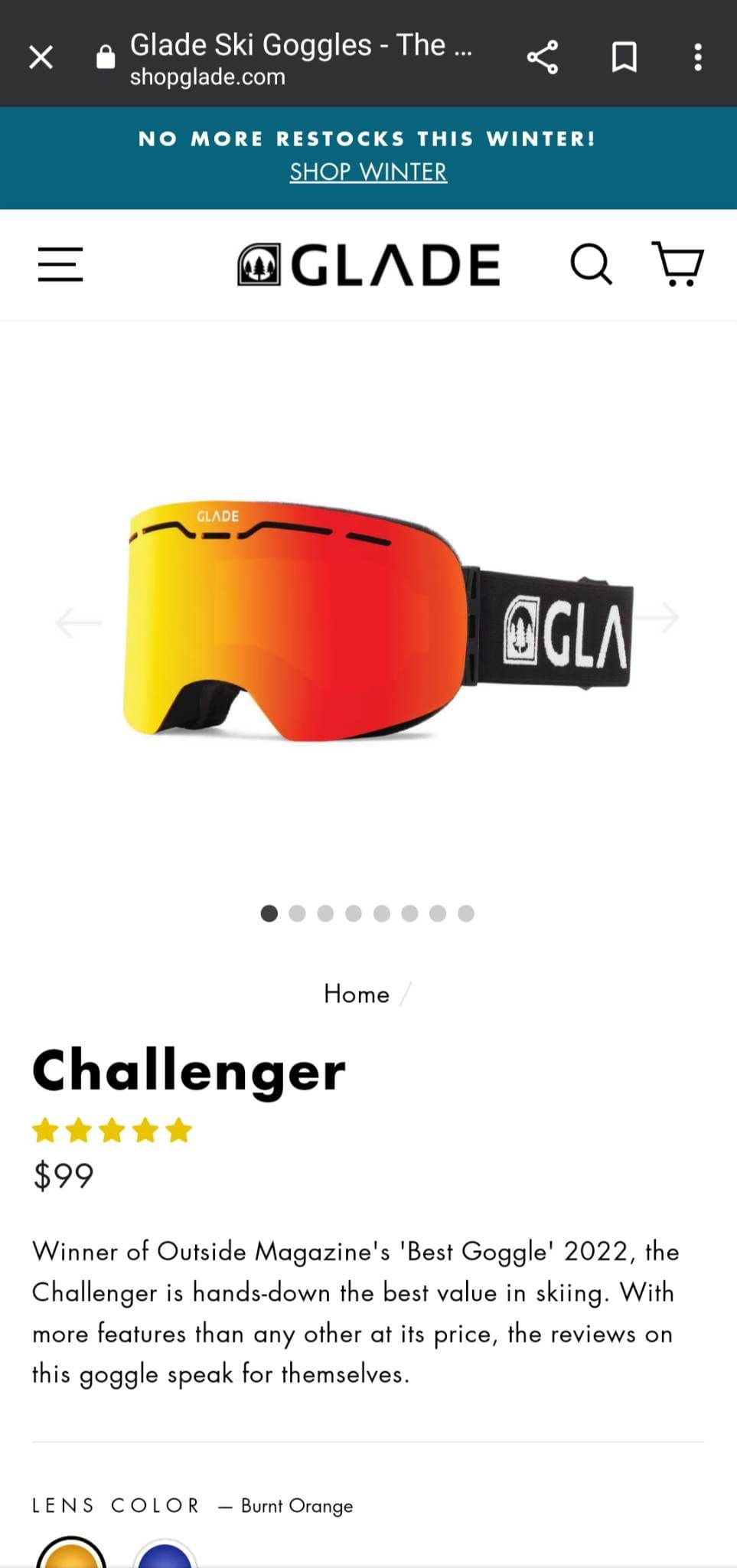 Το στιγμιότυπο οθόνης δείχνει τη συγκεκριμένη σελίδα για μια μάρκα γυαλιών σκι.  Το εικονίδιο αποθήκευσης βρίσκεται επάνω δεξιά.