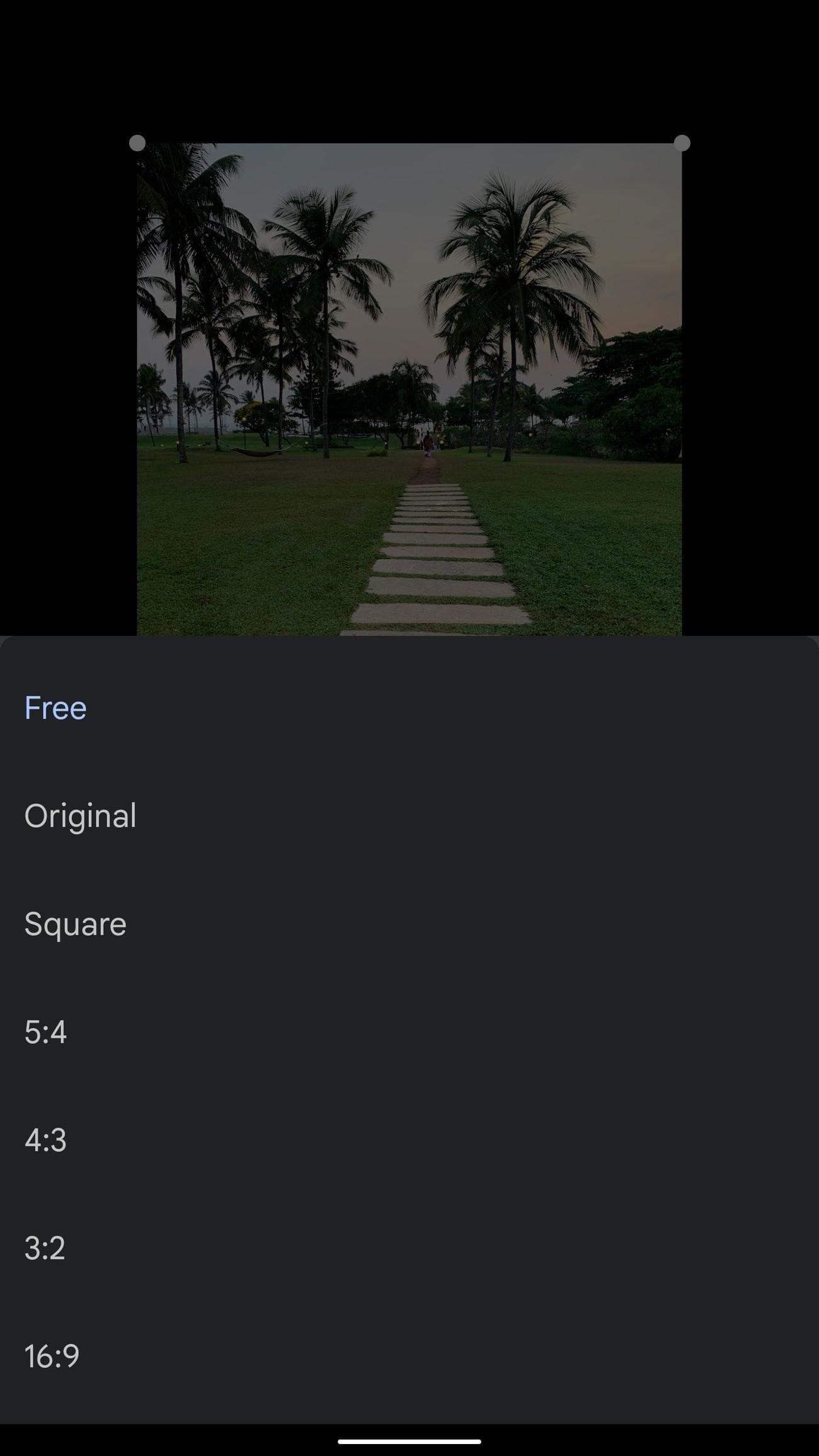 ελέγξτε την ανάλυση εικόνας του Google Photos