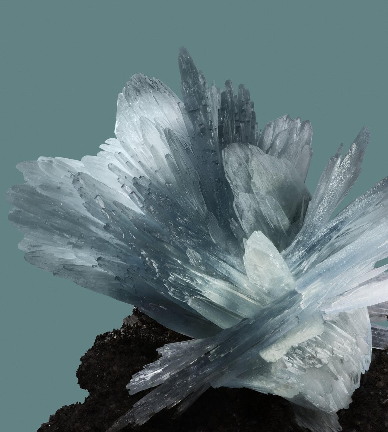 google pixel 8 ταπετσαρία νεφρίτη σκούρα