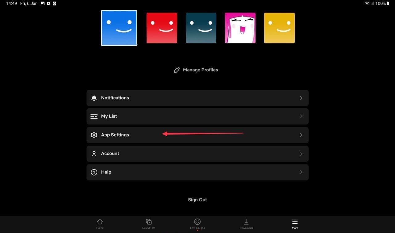 στιγμιότυπο οθόνης του μενού ρυθμίσεων της εφαρμογής netflix για κινητά