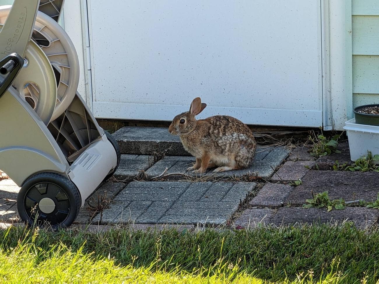 PXL_20230625_190604406