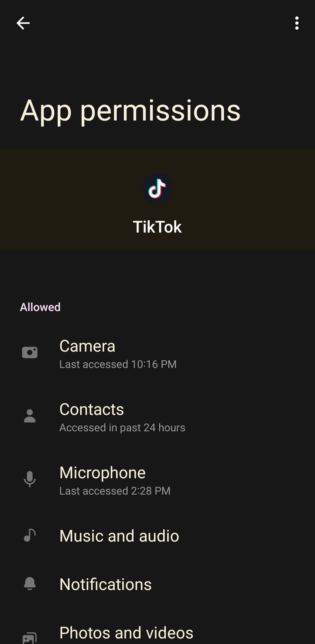 TikTok App Permissions menu on an Android phone