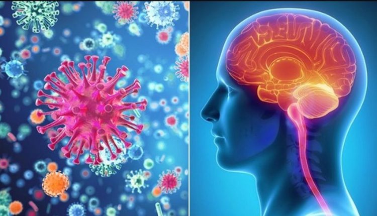 Ύποπτος μύκητας προκαλεί μηνιγγίτιδα στις ΗΠΑ και το Μεξικό