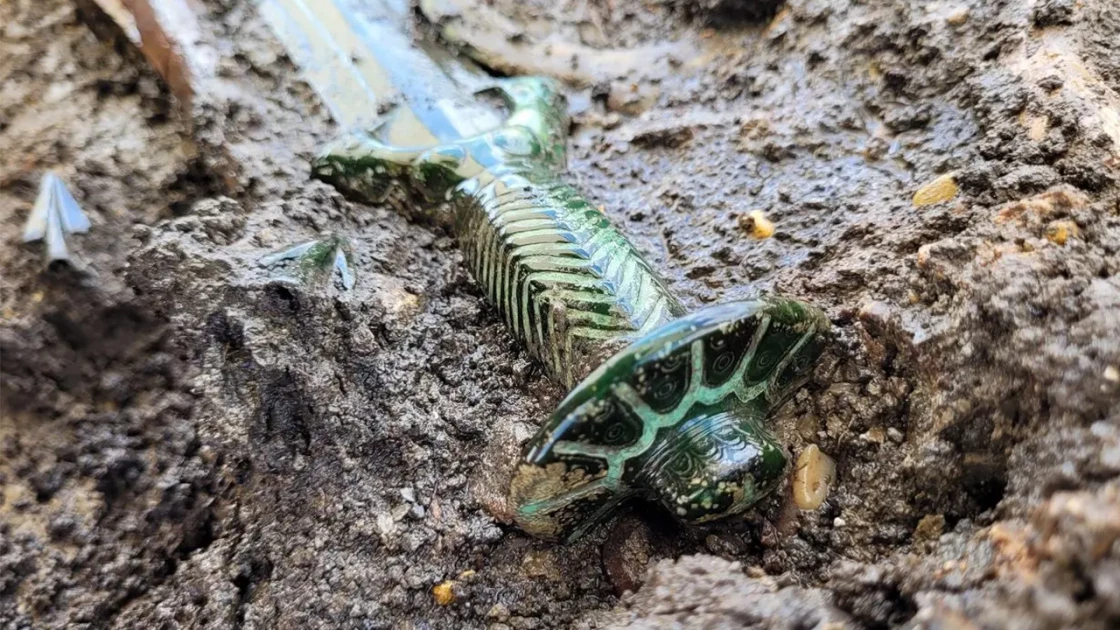 Γερμανία: Βρέθηκε σπαθί 3.000 ετών τόσο καλοδιατηρημένο που “σχεδόν λάμπει“ (ΦΩΤΟ)