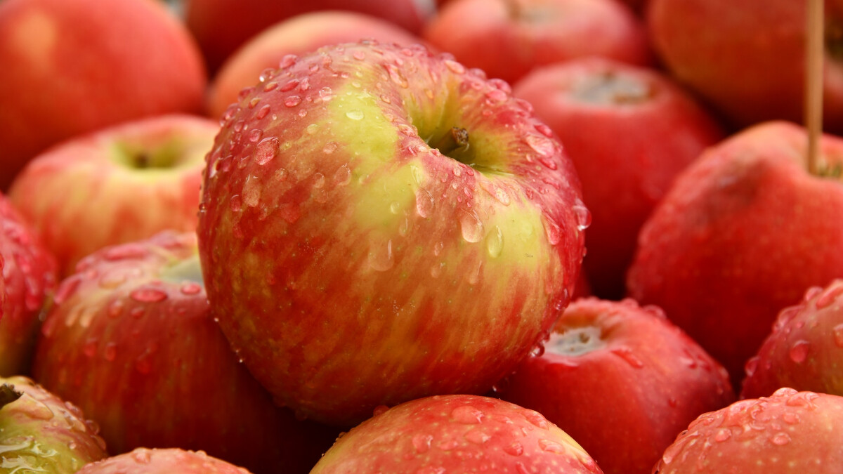 Apple wants to own the rights to images of real apples around the world