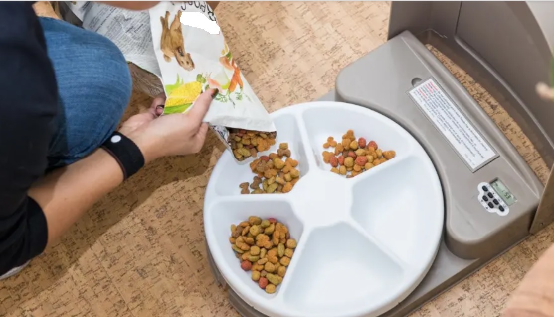 Η αυτόματη ταΐστρα του κατοικίδιου σας μπορεί να σας «κλέβει» προσωπικά δεδομένα