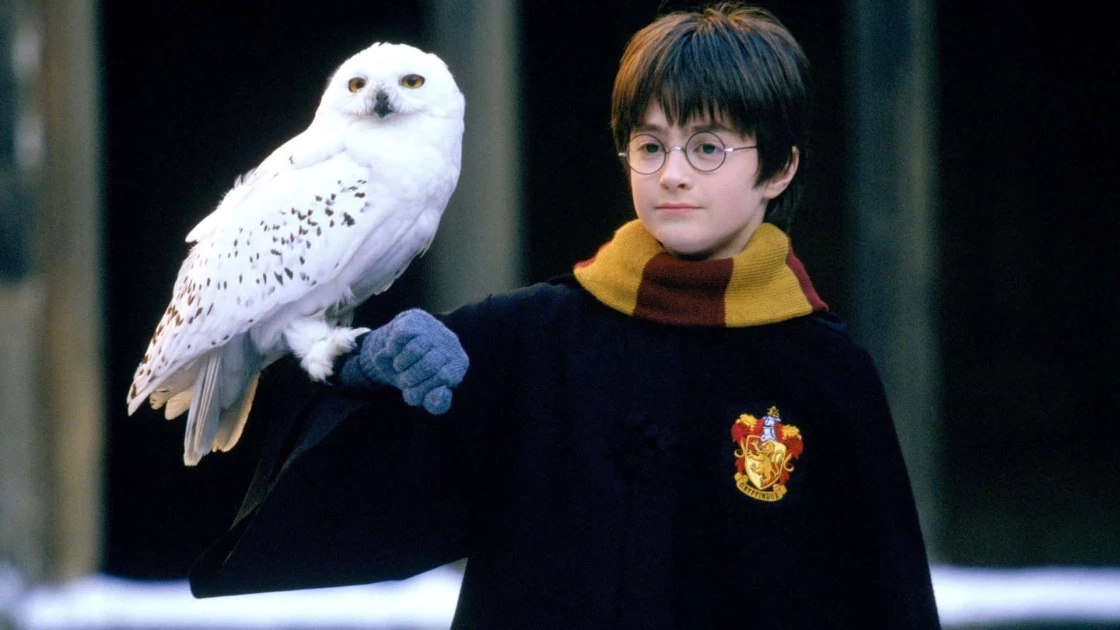 Ο Daniel Radcliffe 'σπάει' τη σιωπή του για τη σειρά Harry Potter (ΒΙΝΤΕΟ)