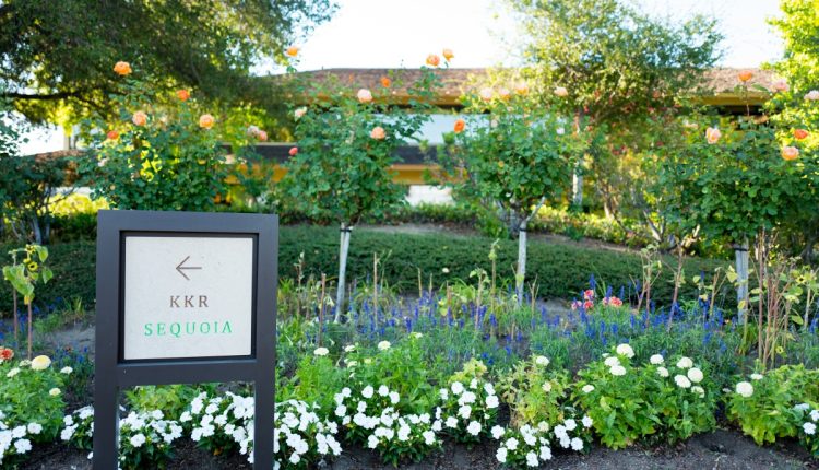 Οι αρχειοθετήσεις αποκαλύπτουν επιστροφές PE, VC εν μέσω κλιμακούμενης μείωσης
