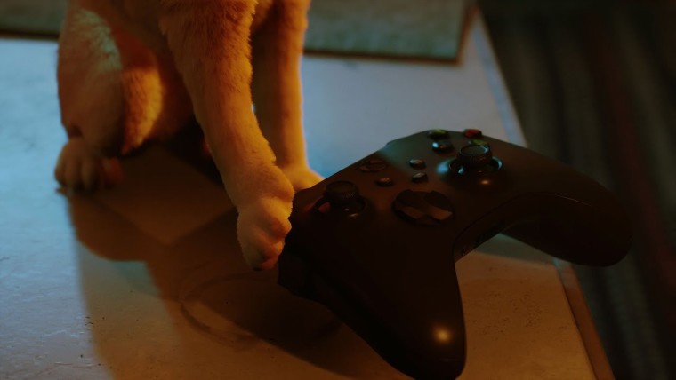 Το Cat adventures of Stray κυκλοφορεί στα Xbox Series X|S και Xbox One αυτόν τον Αύγουστο
