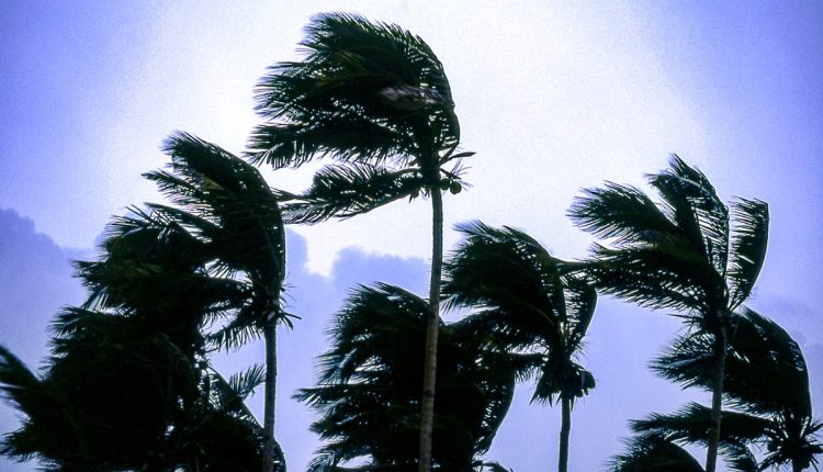 Το γαλλικό Mistral AI έρχεται με 113 εκατομμύρια δολάρια σε αποτίμηση 260 εκατομμύρια δολάρια για να αντιμετωπίσει το OpenAI
