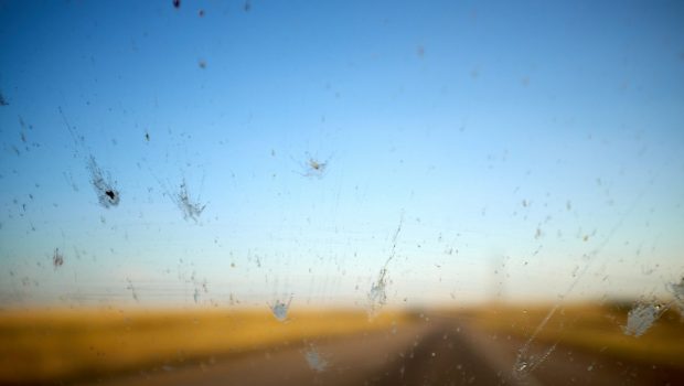 «Φαινόμενο του παρμπρίζ»: Τα έντομα που σκοτώνουμε ενώ οδηγούμε δεν είναι ασήμαντα