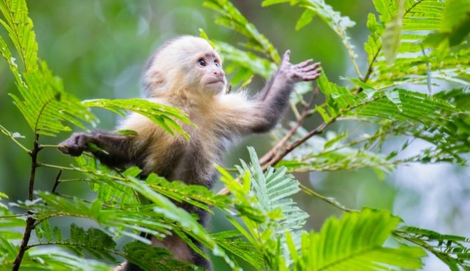 Χρωστάμε την εξέλιξη μας (και) στον αυνανισμό