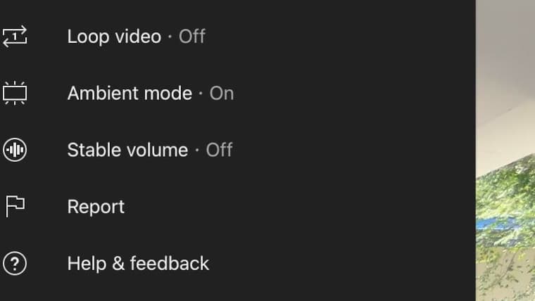 Stable volume option in YouTube
