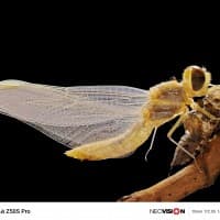 δείγματα κάμερας nubia Z50S Pro