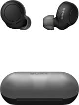 Sony WF-C500