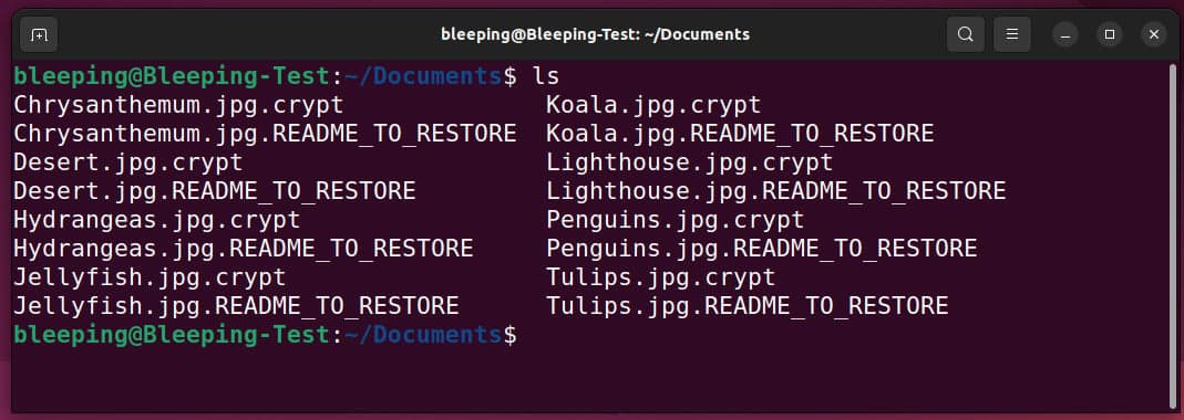 Κρυπτογραφημένα αρχεία και σημειώσεις λύτρων