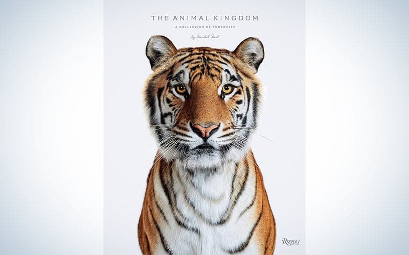 Animal Kingdom: A Collection of Portraits