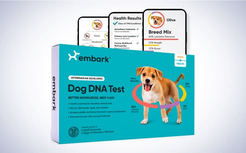 Embark Breed & Health Kit