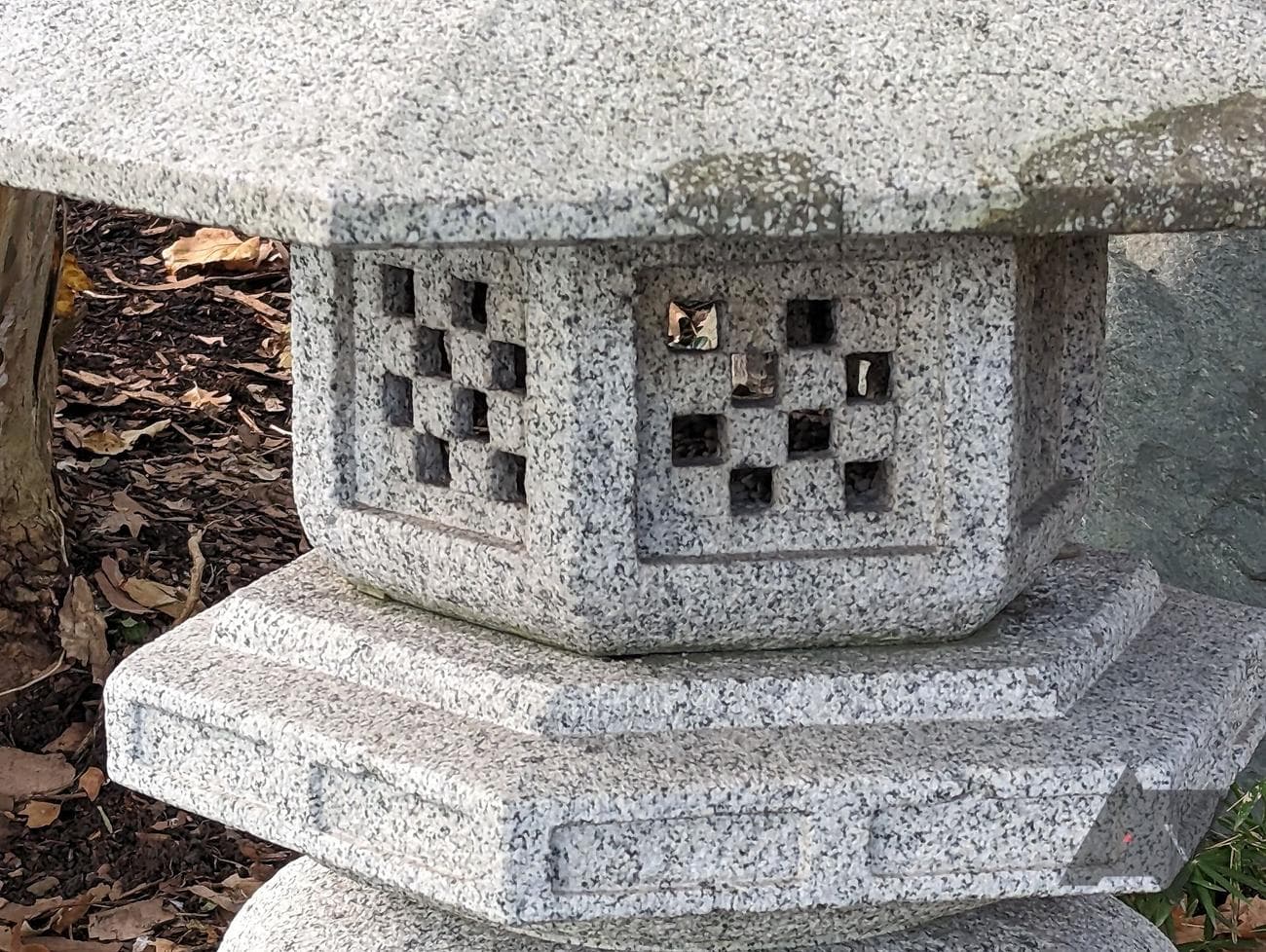 PXL_20221010_203339971 (1)