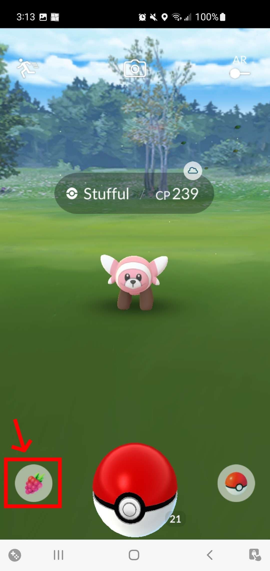 Pokemon-go-catching-pokemon