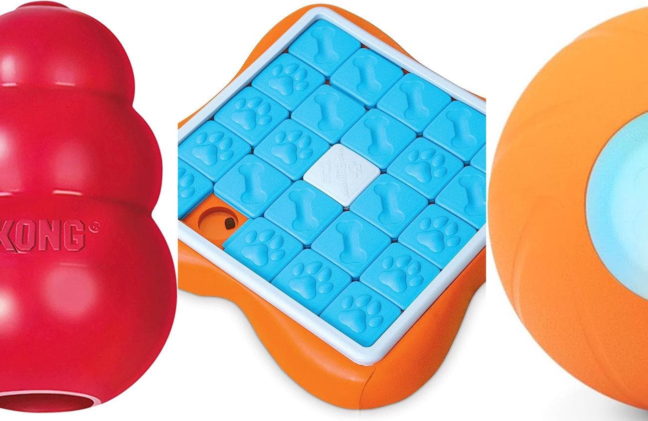 The best interactive dog toys will keep your pooch entertained even when you