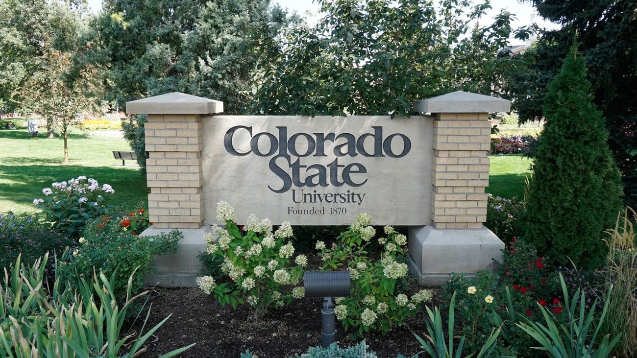 Colorado State University