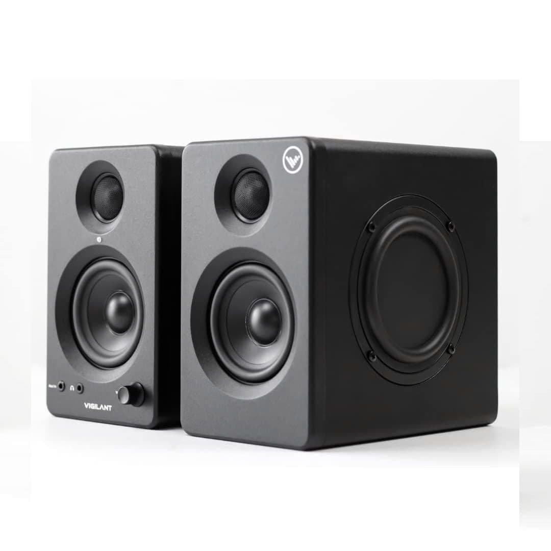 Vigilant Audio SwitchOne-2 computer speakers