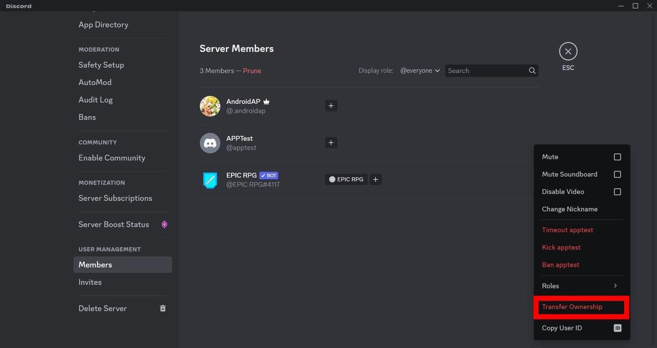 Κόκκινο ορθογώνιο online πάνω από την επιλογή Μεταβίβαση ιδιοκτησίας για τις ρυθμίσεις διακομιστή μελών Discord στην επιφάνεια εργασίας