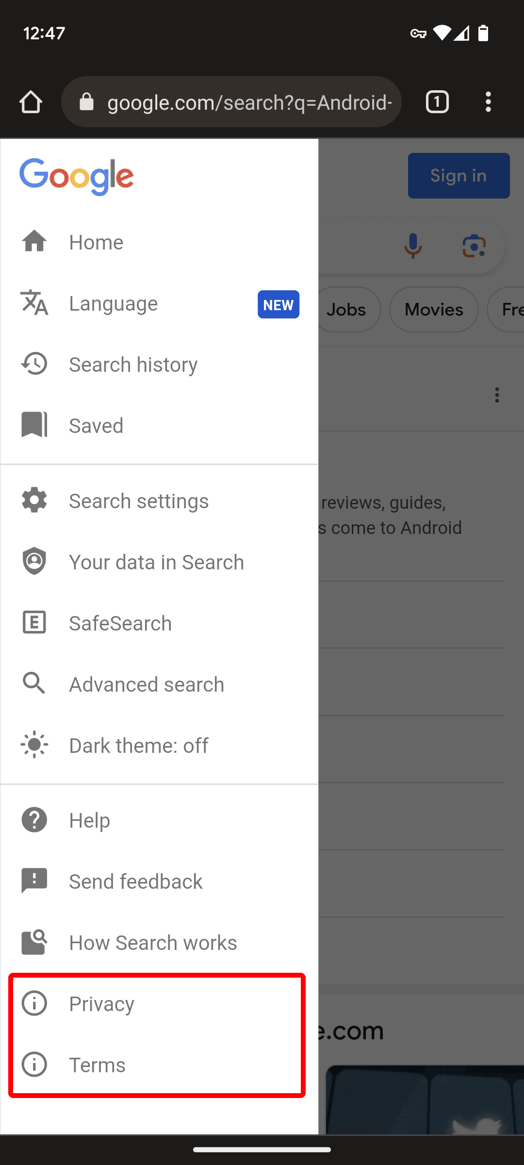 google-search-privacy-terms