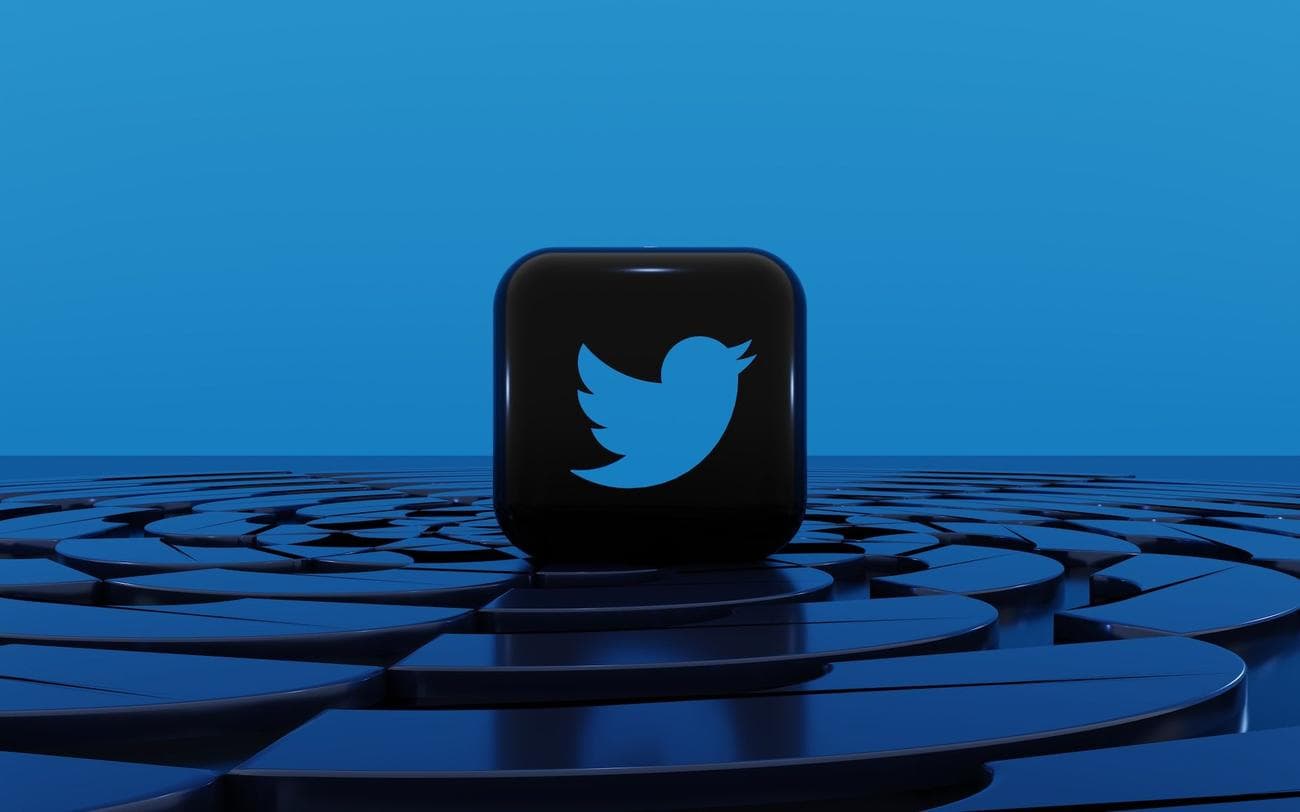 how-to-download-your-twitter-data-app-logo