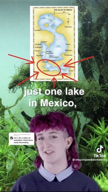 A screenshot of a TikTok video from Encyclopedia Britannica.