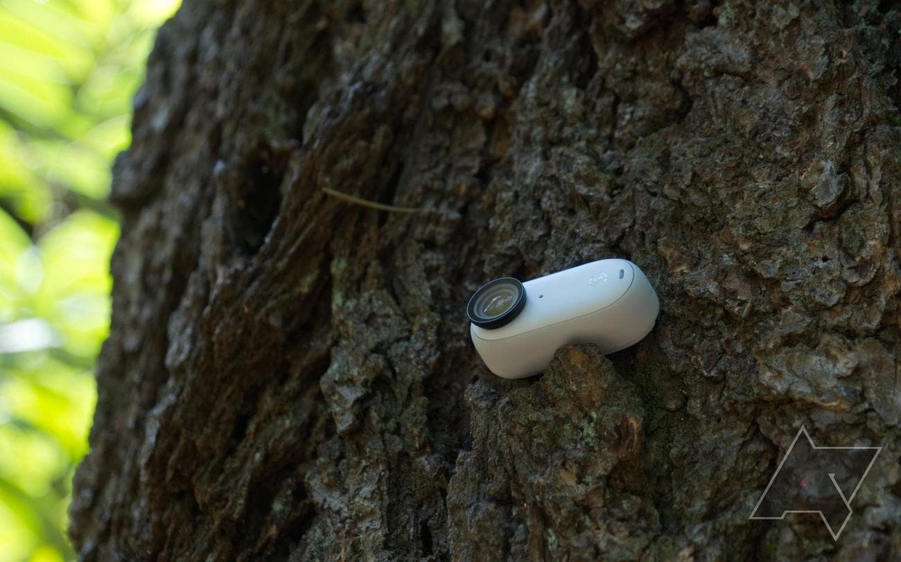 insta360-go-3-camera-up-a-tree