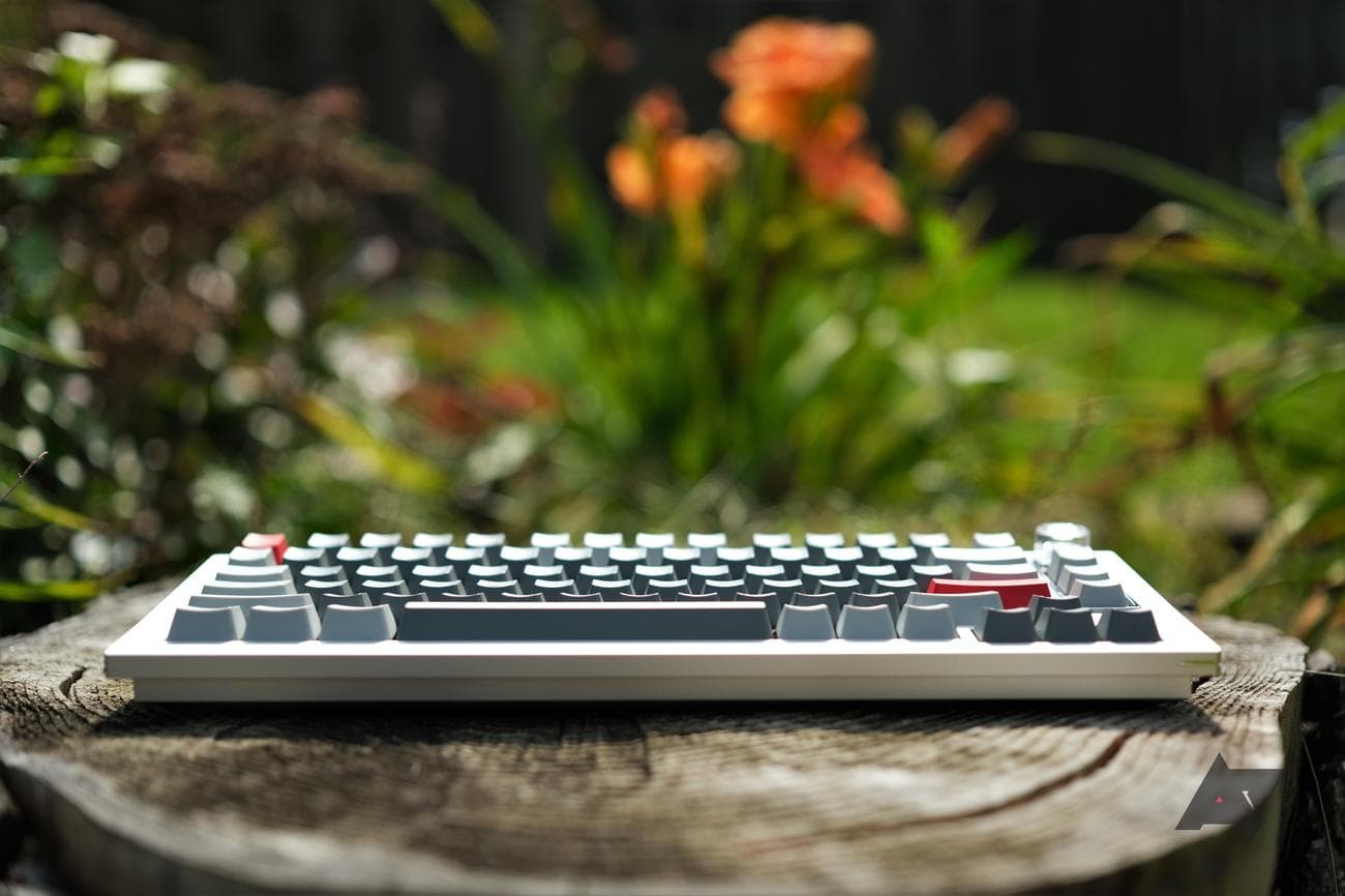OnePlus Keyboard 81 Pro φανταχτερή κριτική για τα λουλούδια