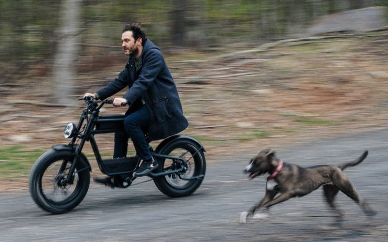 Ride1up Revv 1 bike ridden next to a running dog