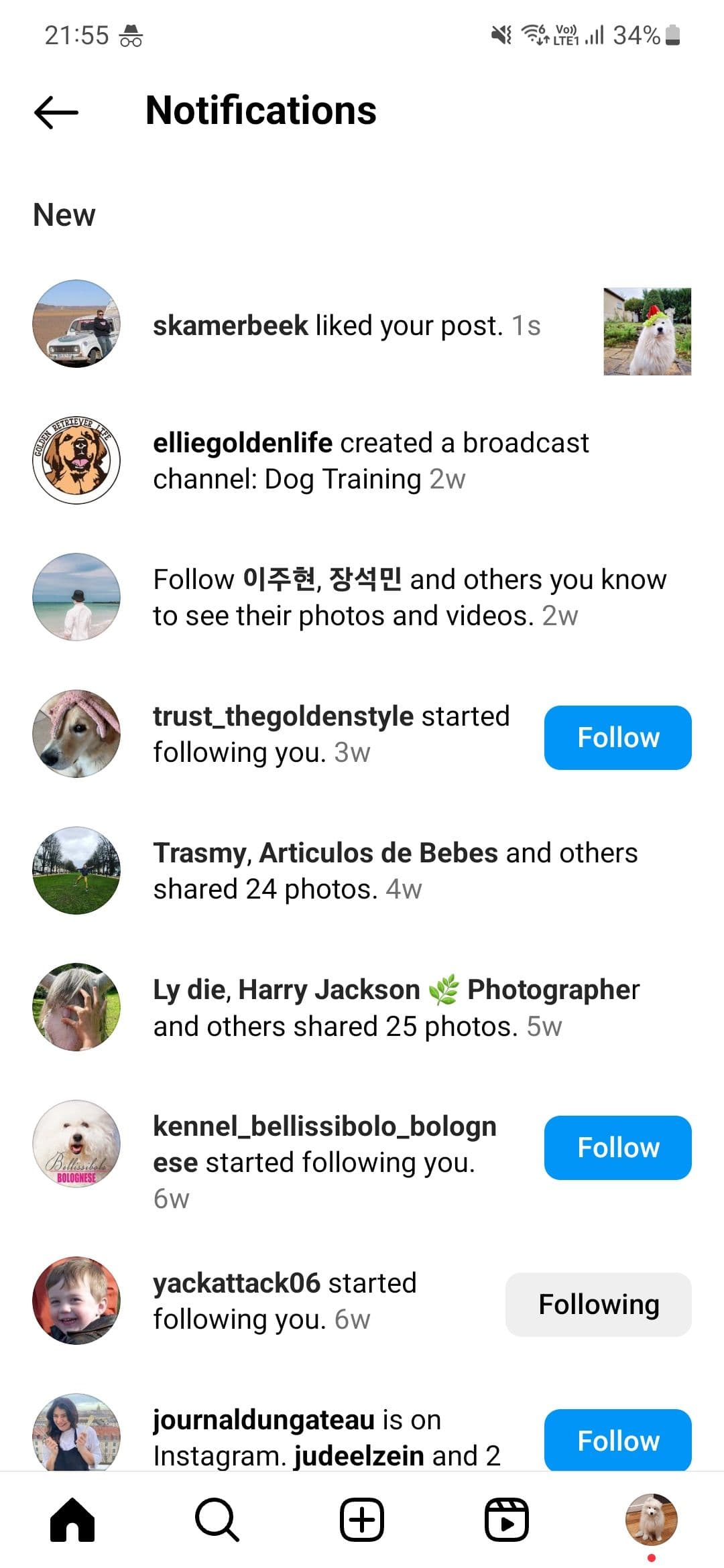 Στιγμιότυπο οθόνης των ειδοποιήσεων Instagram