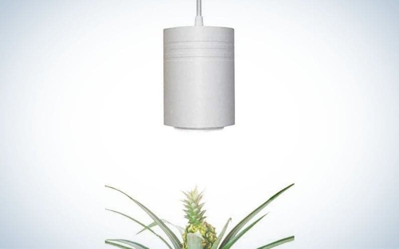 Small White Aspect Luxury LED Grow Lights are the best for succulents.