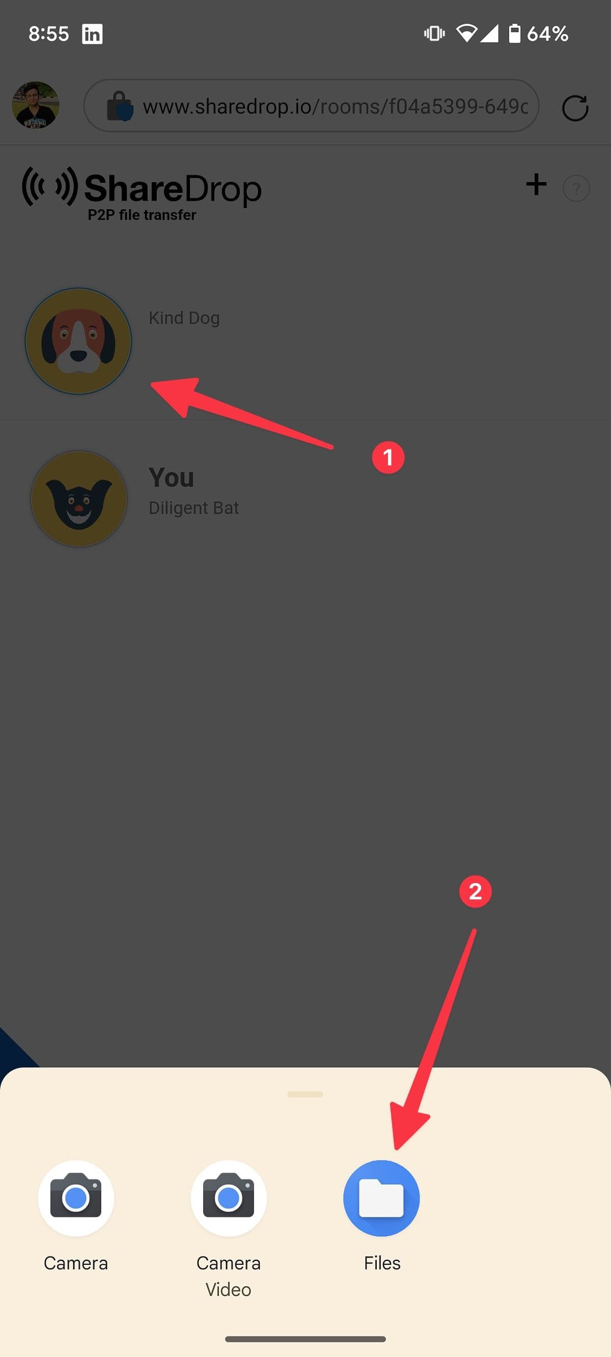 Send files on ShareDrop